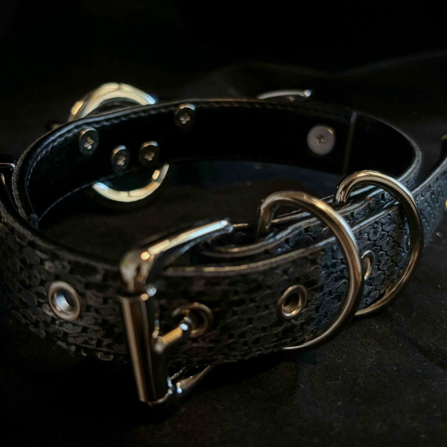 PippinTG - Silver Antelope Collar & Leash